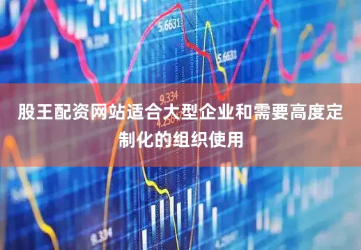 股王配资网站适合大型企业和需要高度定制化的组织使用