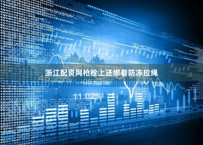 浙江配资网枪栓上还绑着防冻拉绳